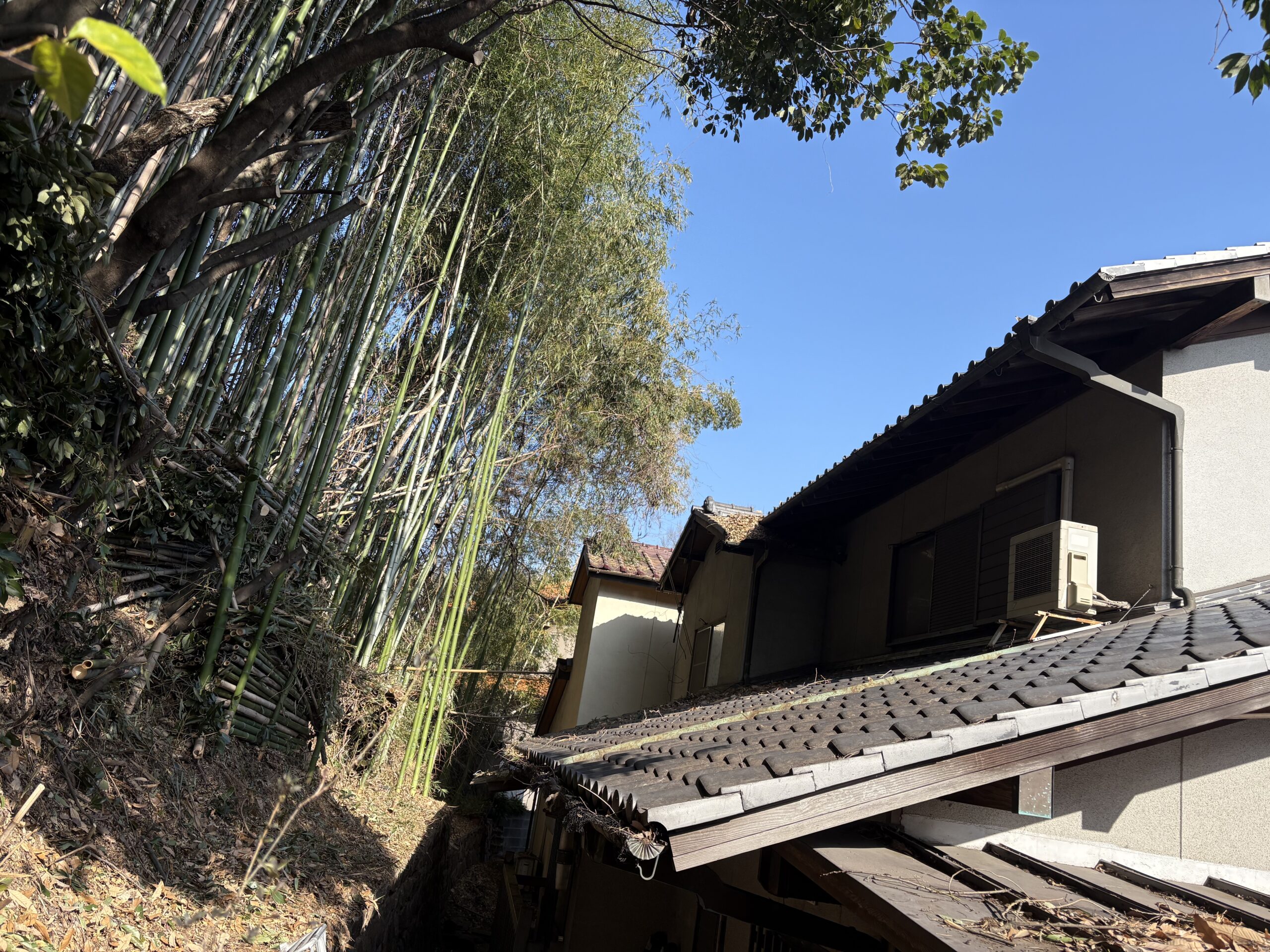 稲沢市で住宅裏の竹・樹木を伐採｜屋根を守る特殊伐採の施工事例 - After