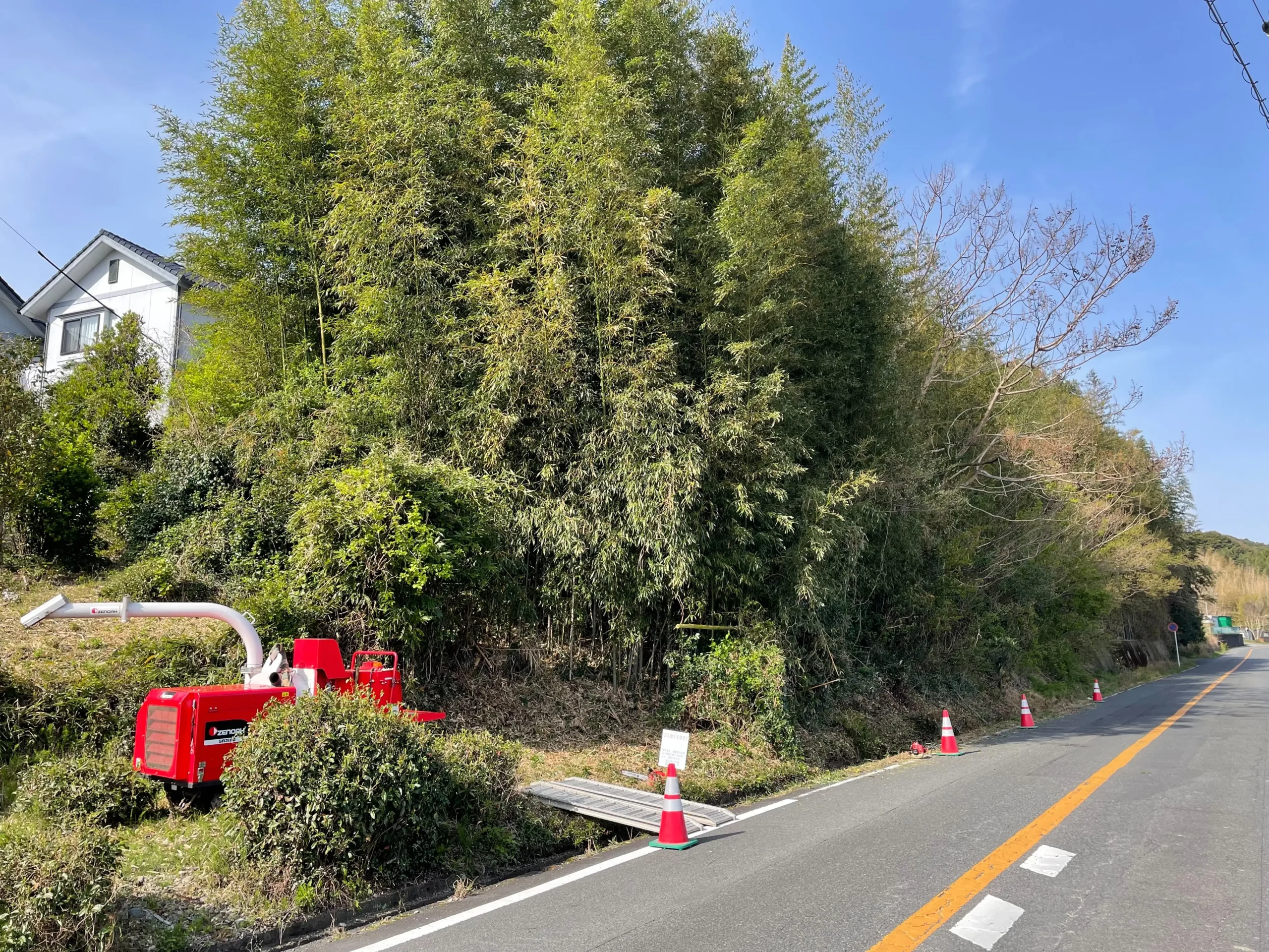 小牧市で道路脇の竹林を特殊伐採｜強風で倒れる危険な竹を安全処理した伐採事例 - Before